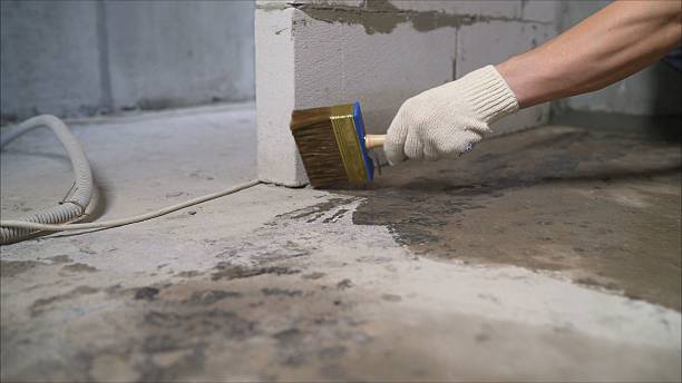 SJ Waterproofing Pros Sump Pump Installation coverage map for Newton, AL and surrounding area